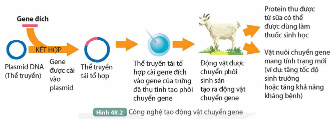 BÀI 48. ỨNG DỤNG CÔNG NGHỆ DI TRUYỀN VÀO ĐỜI SỐNG