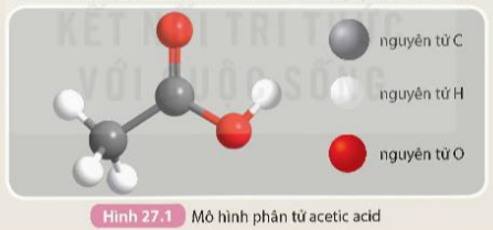 BÀI 27. ACETIC ACID