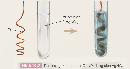 BÀI 19. DÃY HOẠT ĐỘNG HÓA HỌC