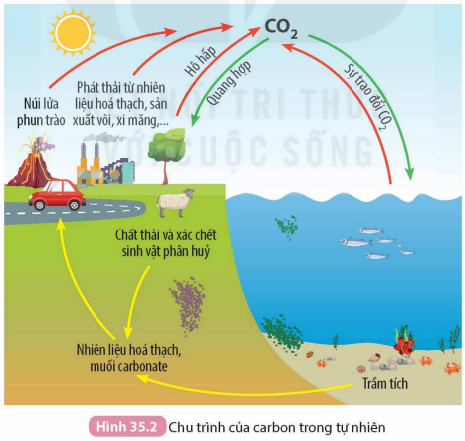 BÀI 35. KHAI THÁC NHIÊN LIỆU HÓA THẠCH. NGUỒN CARBON. CHU TRÌNH CARBON VÀ SỰ ẤM LÊN TOÀN CẦU