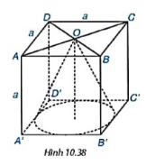 BÀI TẬP CUỐI CHƯƠNG X