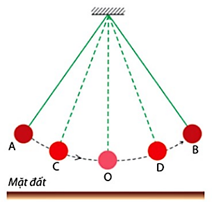 CÂU HỎI TRẮC NGHIỆM