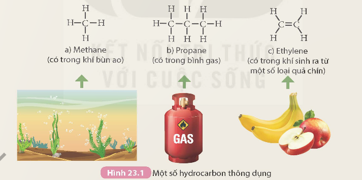 BÀI 23. ALKANE