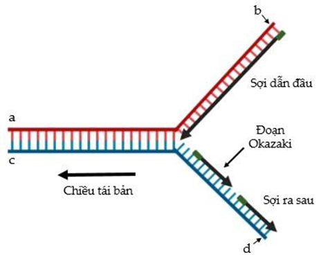 TRẮC NGHIỆM