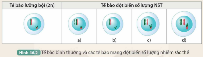 BÀI 46. ĐỘT BIẾN NHIỄM SẮC THỂ