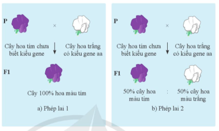 TRẮC NGHIỆM