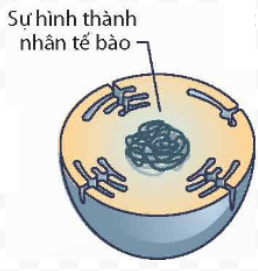 TRẮC NGHIỆM