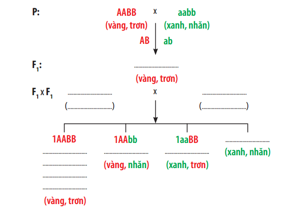 TRẮC NGHIỆM