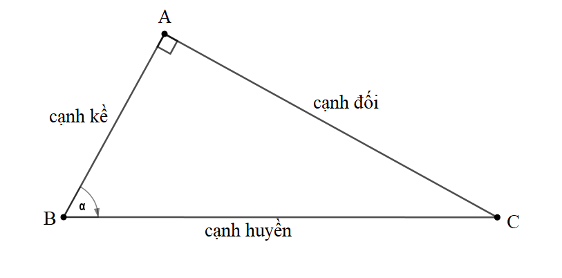 TRẮC NGHIỆM