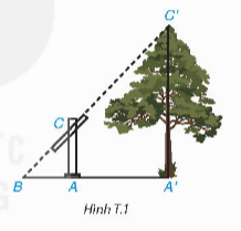 ỨNG DỤNG ĐỊNH LÍ THALÈS, ĐỊNH LÍ PYTHAGORE VÀ TAM GIÁC ĐỒNG DẠNG ĐỂ ĐO CHIỀU CAO, KHOẢNG CÁCH (1 TIẾT)