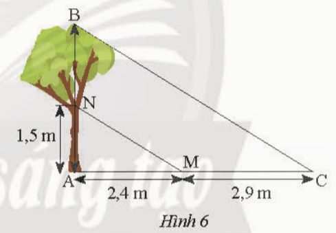 BÀI TẬP CUỐI CHƯƠNG VII