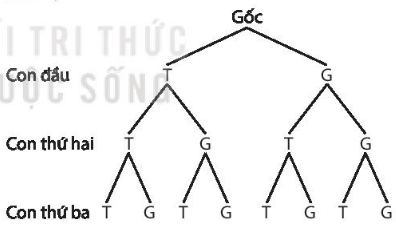 BÀI 27.THỰC HÀNH TÍNH XÁC SUẤT THEO ĐỊNH NGHĨA CỔ ĐIỂN