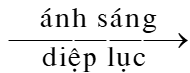 TRẮC NGHIỆM