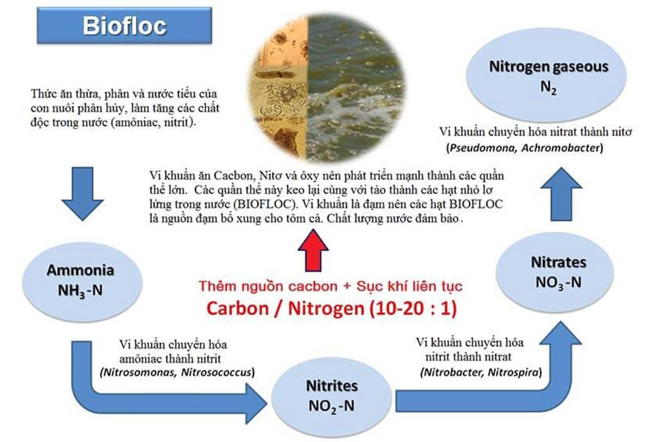 TRẮC NGHIỆM