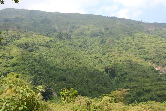 TRẮC NGHIỆM