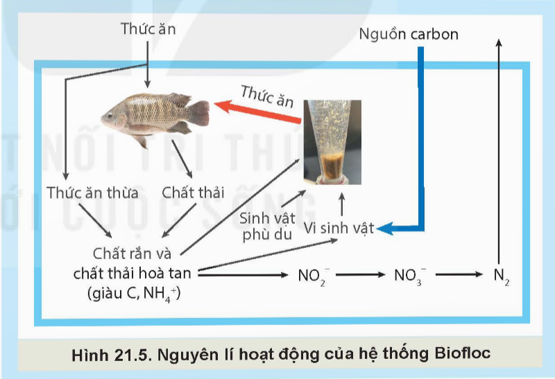 TRẮC NGHIỆM