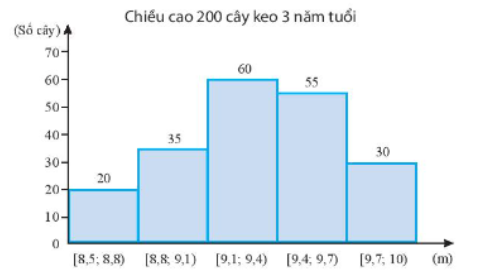 TRẮC NGHIỆM