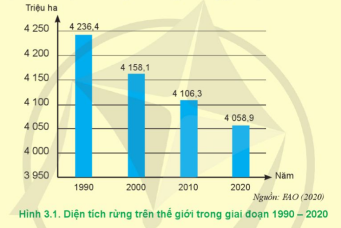 TRẮC NGHIỆM