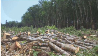 TRẮC NGHIỆM