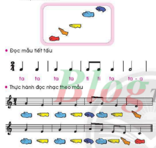 CHỦ ĐỀ 2 - TIẾT 3 - ĐỌC NHẠC - LUYỆN TẬP MẪU ÂM VÀ THỰC HÀNH -THƯỜNG THỨC ÂM NHẠC