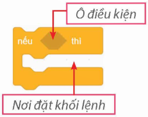 BÀI 13. CẤU TRÚC RẼ NHÁNH