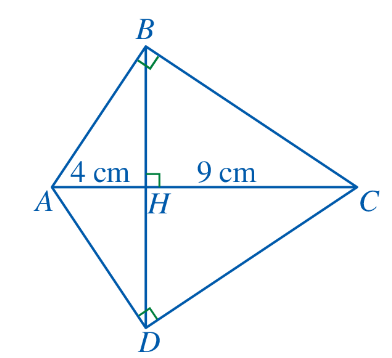 BÀI TẬP CUỐI CHƯƠNG VIII