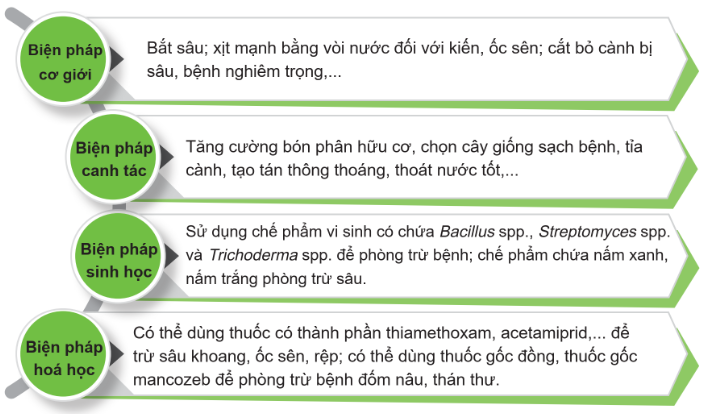 BÀI 6. KĨ THUẬT TRỒNG VÀ CHĂM SÓC CÂY THANH LONG