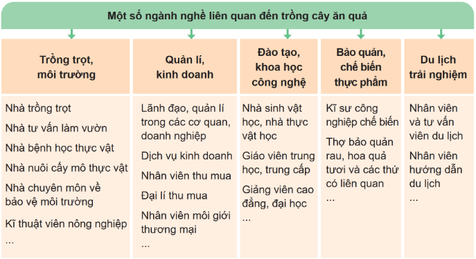 BÀI 12. MỘT SỐ NGÀNH NGHỀ LIÊN QUAN ĐẾN TRỒNG CÂY ĂN QUẢ