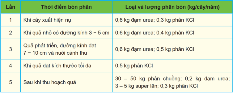 BÀI 8. KĨ THUẬT TRỒNG VÀ CHĂM SÓC CÂY ĂN QUẢ CÓ MÚI