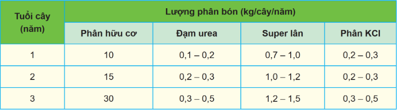 BÀI 8. KĨ THUẬT TRỒNG VÀ CHĂM SÓC CÂY ĂN QUẢ CÓ MÚI