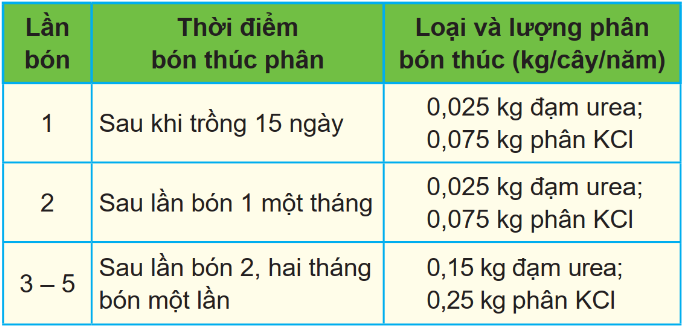 BÀI 9. KĨ THUẬT TRỒNG VÀ CHĂM SÓC CÂY CHUỐI