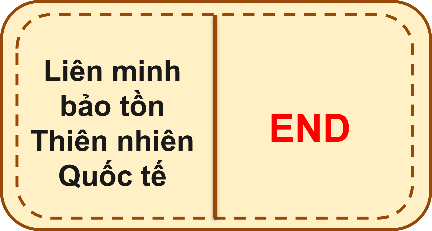 BÀI 3.4. THỰC HÀNH TIẾNG VIỆT: PHƯƠNG TIỆN PHI NGÔN NGỮ; NGHĨA VÀ CÁCH DÙNG TÊN VIẾT TẮT CỦA MỘT SỐ TỔ CHỨC QUỐC TẾ QUAN TRỌNG