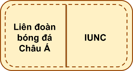 BÀI 3.4. THỰC HÀNH TIẾNG VIỆT: PHƯƠNG TIỆN PHI NGÔN NGỮ; NGHĨA VÀ CÁCH DÙNG TÊN VIẾT TẮT CỦA MỘT SỐ TỔ CHỨC QUỐC TẾ QUAN TRỌNG