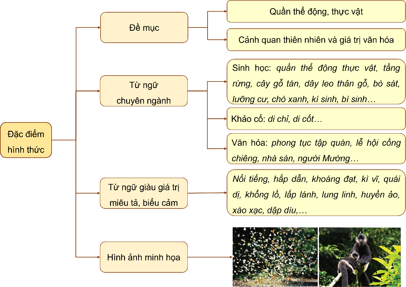 BÀI 3.1. VĂN BẢN VƯỜN QUỐC GIA CÚC PHƯƠNG