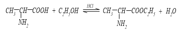 A. MỤC TIÊU CẦN ĐẠT CỦA BÀI HỌC- Nêu được khái niệm về amino acid, amino acid thiên nhiên, amino acid trong cơ thể; gọi được tên một số amino acid thông dụng, đặc điểm cấu tạo phân tử của amino acid.- Nêu được đặc điểm về tính chất vật lí của một số amino acid (trạng thái, nhiệt độ nóng chảy, khả năng hoà tan).- Trình bày được tính chất hoá học đặc trưng của amino acid (tính lưỡng tính, phản ứng ester hoá; phản ứng trùng ngưng của - và -amino acid).- Nêu được khả năng di chuyển của amino acid trong trường điện ở các giá trị pH khác nhau (tính chất điện di).- Nêu được khái niệm peptide và viết được cấu tạo của peptide.- Trình bày được tính chất hoá học đặc trưng của peptide (phản ứng thuỷ phân, phản ứng màu biuret).B. NHỮNG NỘI DUNG CẦN GHI NHỚ TRONG BÀI HỌC