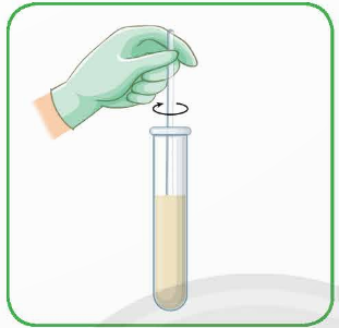 BÀI 2: THỰC HÀNH TÁCH CHIẾT DNA