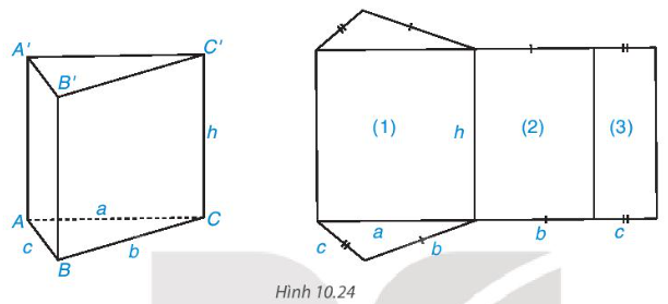 BÀI 37. HÌNH LĂNG TRỤ ĐỨNG TAM GIÁC VÀ HÌNH LĂNG TRỤ ĐỨNG TỨ GIÁC