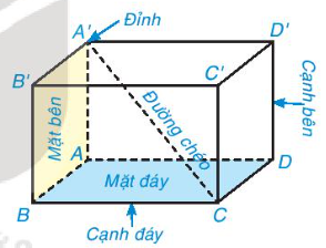 BÀI 36. HÌNH HỘP CHỮ NHẬT VÀ HÌNH LẬP PHƯƠNG