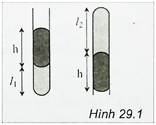 TRẮC NGHIỆM