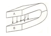 TRẮC NGHIỆM