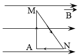 TRẮC NGHIỆM