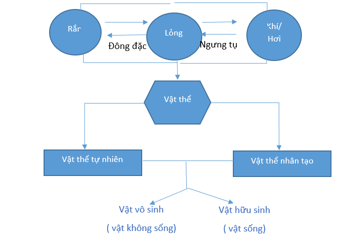 ÔN TẬP CHỦ ĐỀ 2