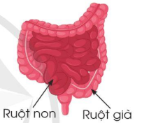 BÀI 83. ÔN TẬP VỀ PHÂN SỐ VÀ CÁC PHÉP TÍNH VỚI PHÂN SỐ