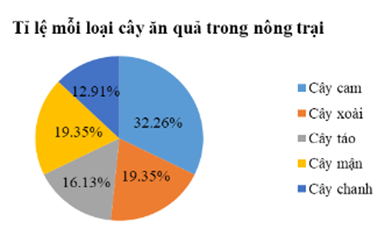 TRẮC NGHIỆM