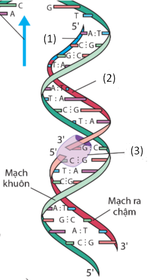 TRẮC NGHIỆM