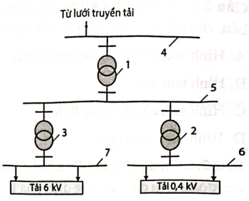 TRẮC NGHIỆM