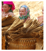 BÀI 16 - VỀ THĂM ĐẤT MŨI