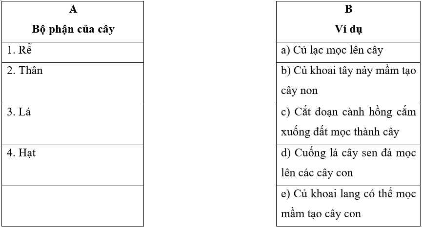 Tech12h