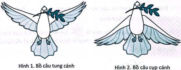 BÀI 10: CẤU TRÚC TUẦN TỰ