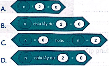 BÀI 13: CẤU TRÚC RẼ NHÁNH